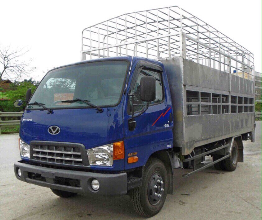 Xe tải Hyundai HD99 chở gia súc
